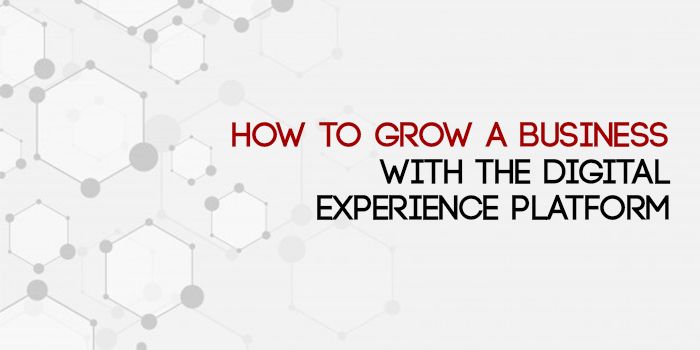 How to Grow a Business with the Digital Experience Platform